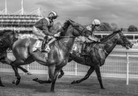 Front Runners, John Saunders
