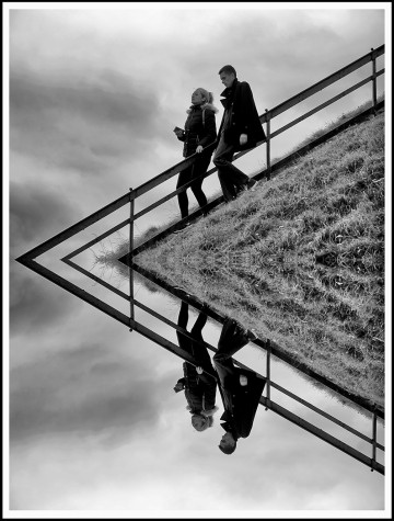 Opposites: Up and down, Sue Hoggett