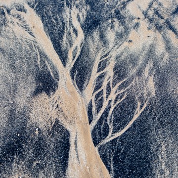 Humber Bridge: Patterns, Julia Walton