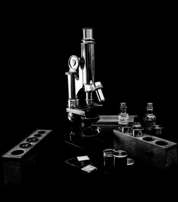 Apothecary's Bench, Julia Walton