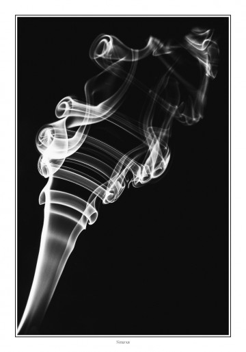 Sinuous, Roger Walton