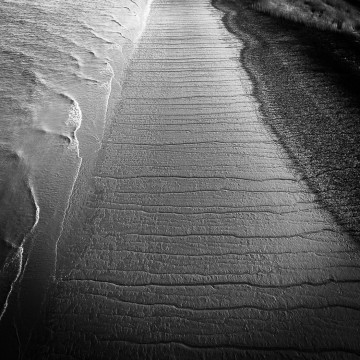 Humber Bridge: The South Bank, Julia Walton