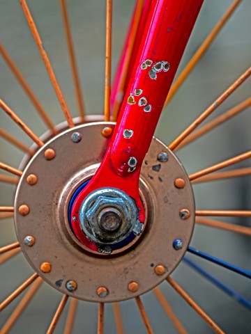 Red: Front Forks, John Saunders