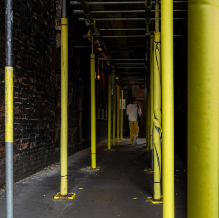 Between the lines, Martin Holyoak