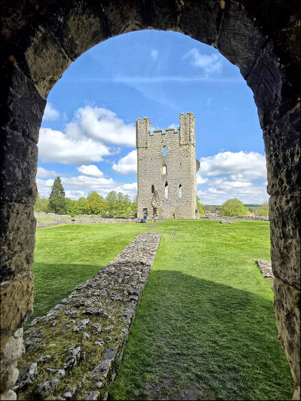 Framed, Sue Hoggett