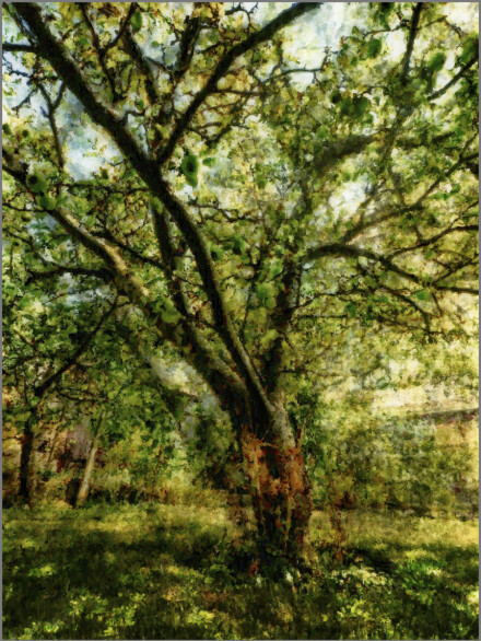 Summer of apples, Andy Chamings