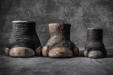 Feet © Britta Jaschinski