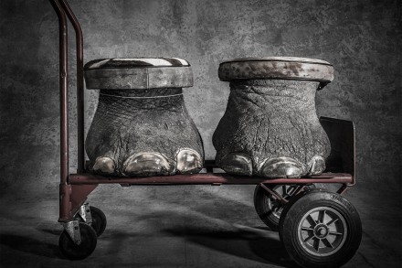 Sitting Uncomfortably © Britta Jaschinski