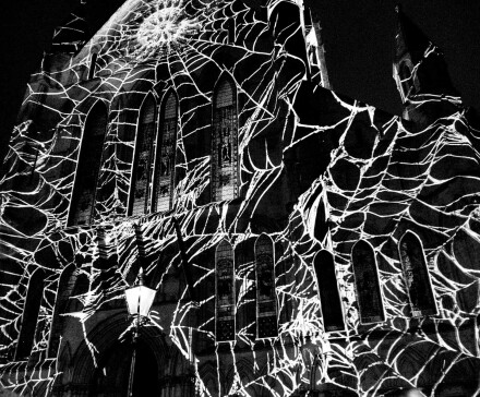 Divine web, Wendy Darley