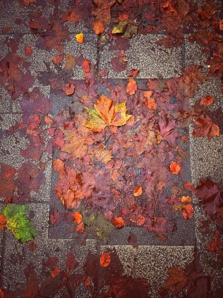 Fading and forgotten, Julia Walton