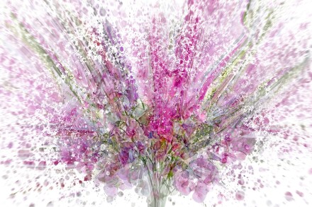 Flower Power by John Humphrey