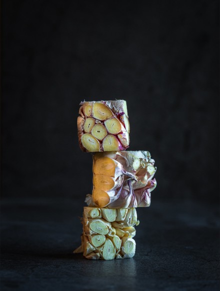 Cubist, Alan Shapiro