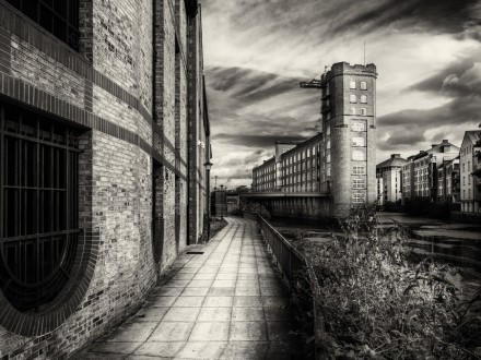 By the Foss, Old and New, David Kessel