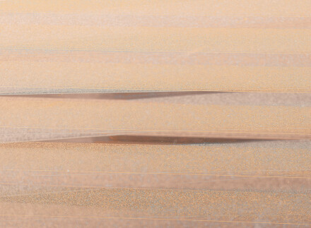 Lines on the window, Carol M Clarke