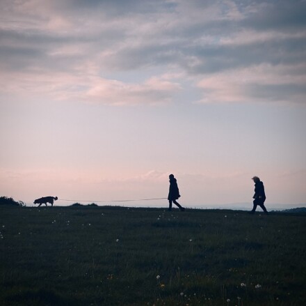 Following fido, Jocelyn Hayes