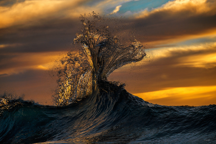 Mystic Sunrise, Dave Sandford