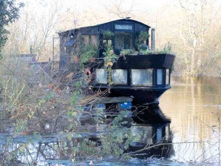 Fading away, Alex Davidson