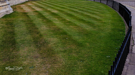 Mowed lines, Bryan Torrington