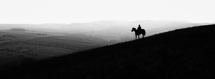 Argus, David Bradley