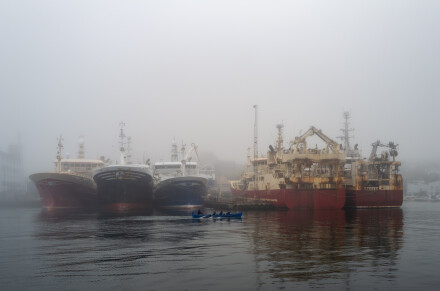 Torshavn Harbour, David Bradley