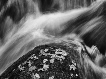 Plym Valley riverside, David Ireland