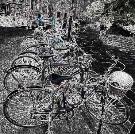 Bike lineup realined, Teresa Beetham