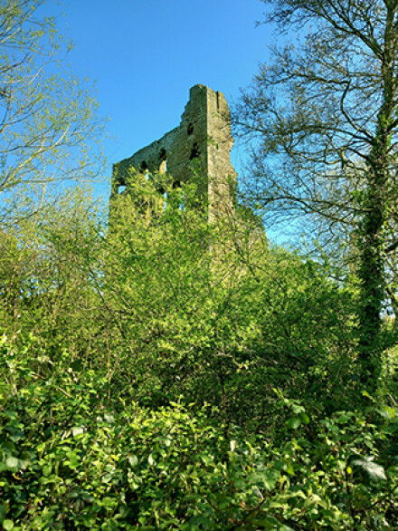 Sheriff Hutton Castle, Lynda Atkinson