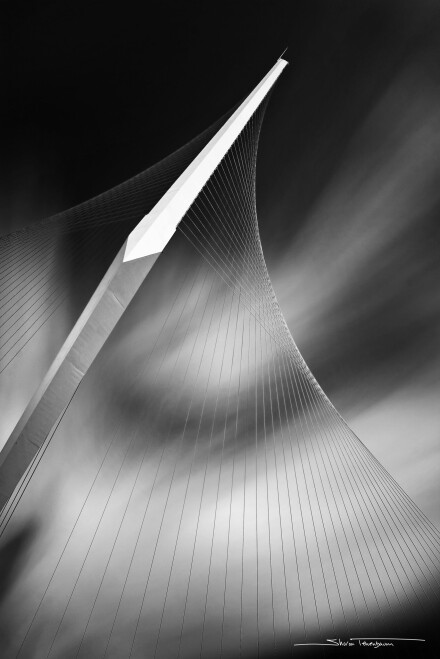 Chords Bridge © Sharon Tenenbaum