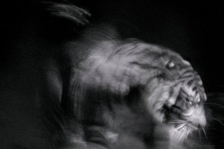 Transient © Britta Jaschinski