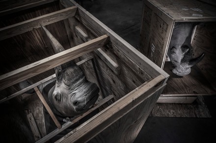 Packed © Britta Jaschinski