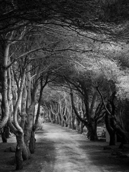 Pregonda avenue, Andy Towse