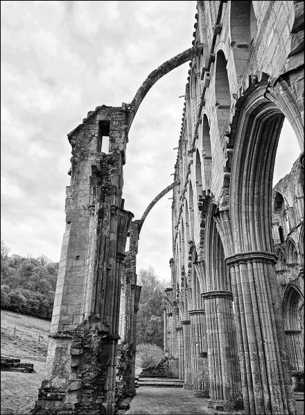 Flying buttresses, Sue Hoggett