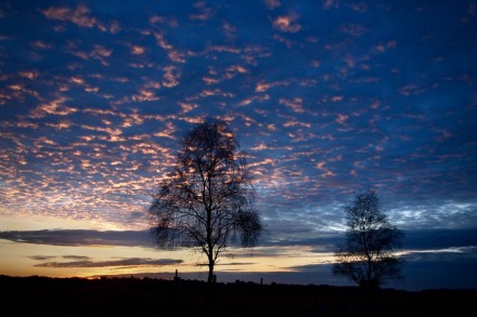 Tomorrow Will Be a New Day, Renewal and Hope, Jocelyn Hayes