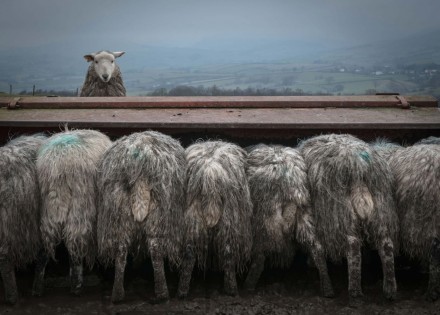 Wrong © Amy Bateman
