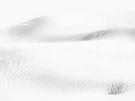 Sand dunes, Carol Clarke