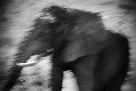 Fading © Britta Jaschinski