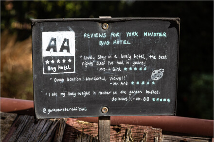 Bug Hotel, Roger Poyser