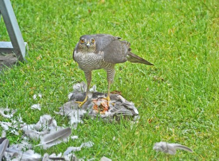 Lunchtime, Malcolm Beetham