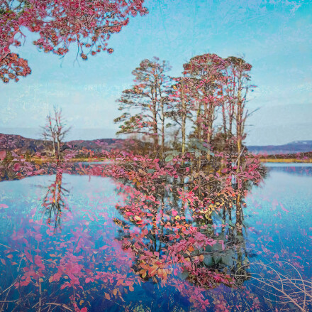 Deep reflections, Helen Jones