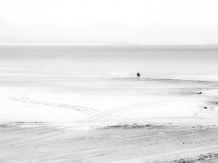 Alone, Alex Davidson