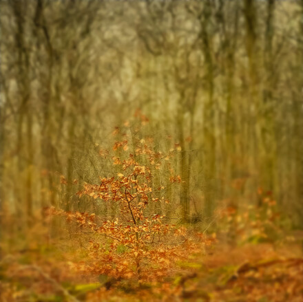 When I grow up, Helen Jones