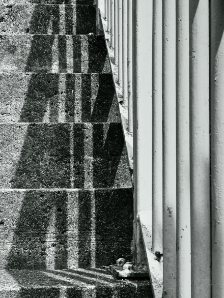 Lines and their shadows, Richard Masters