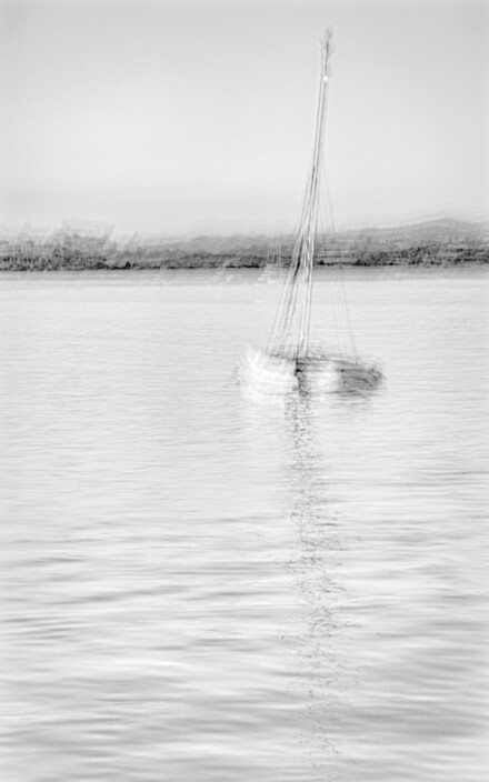 Early morning outing, Carol M Clarke