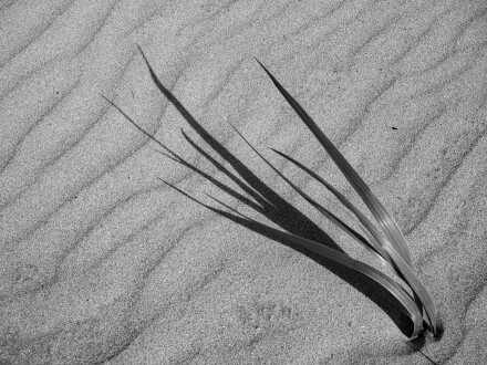 Casting shadows, Kath Turner