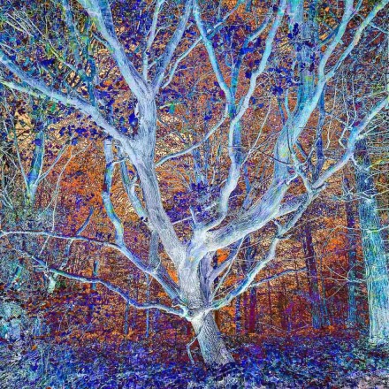 Light in the darkness, Helen Jones