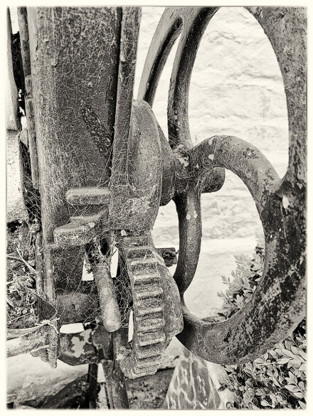 Cogs and cobwebs, Sue Hoggett