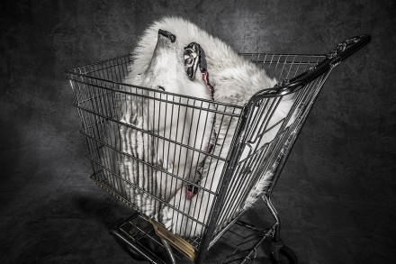 Unbearable © Britta Jaschinski