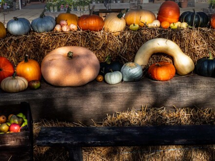 Assortment, Alex Davidson