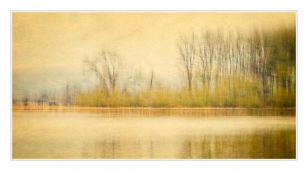Lake Serenity, David Williamson
