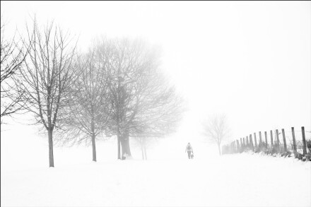 Winter walk, John Saunders
